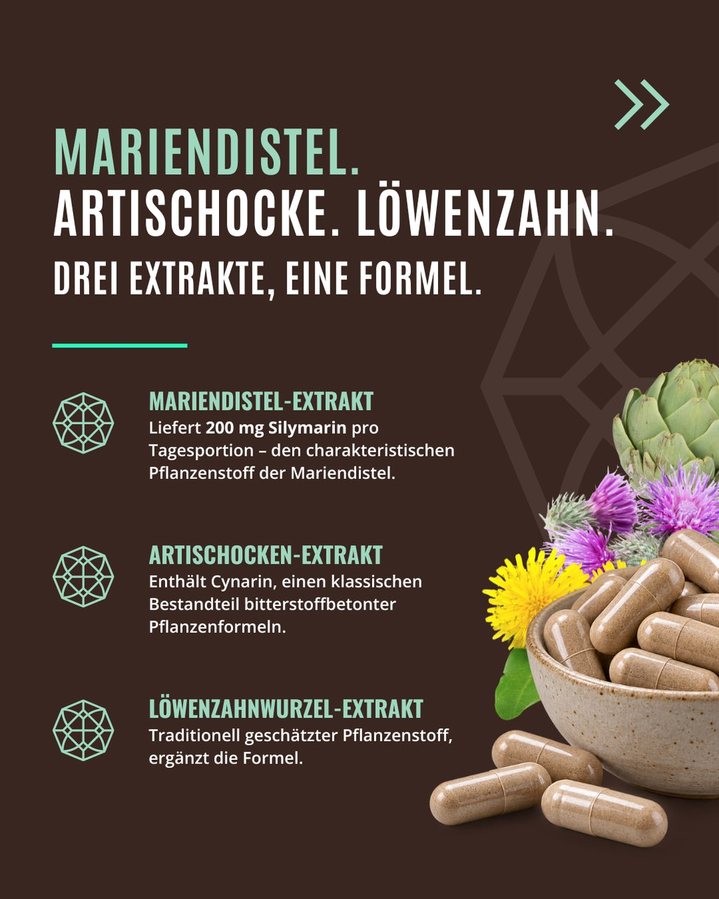 ESSENTIALS – Mariendistel Komplex