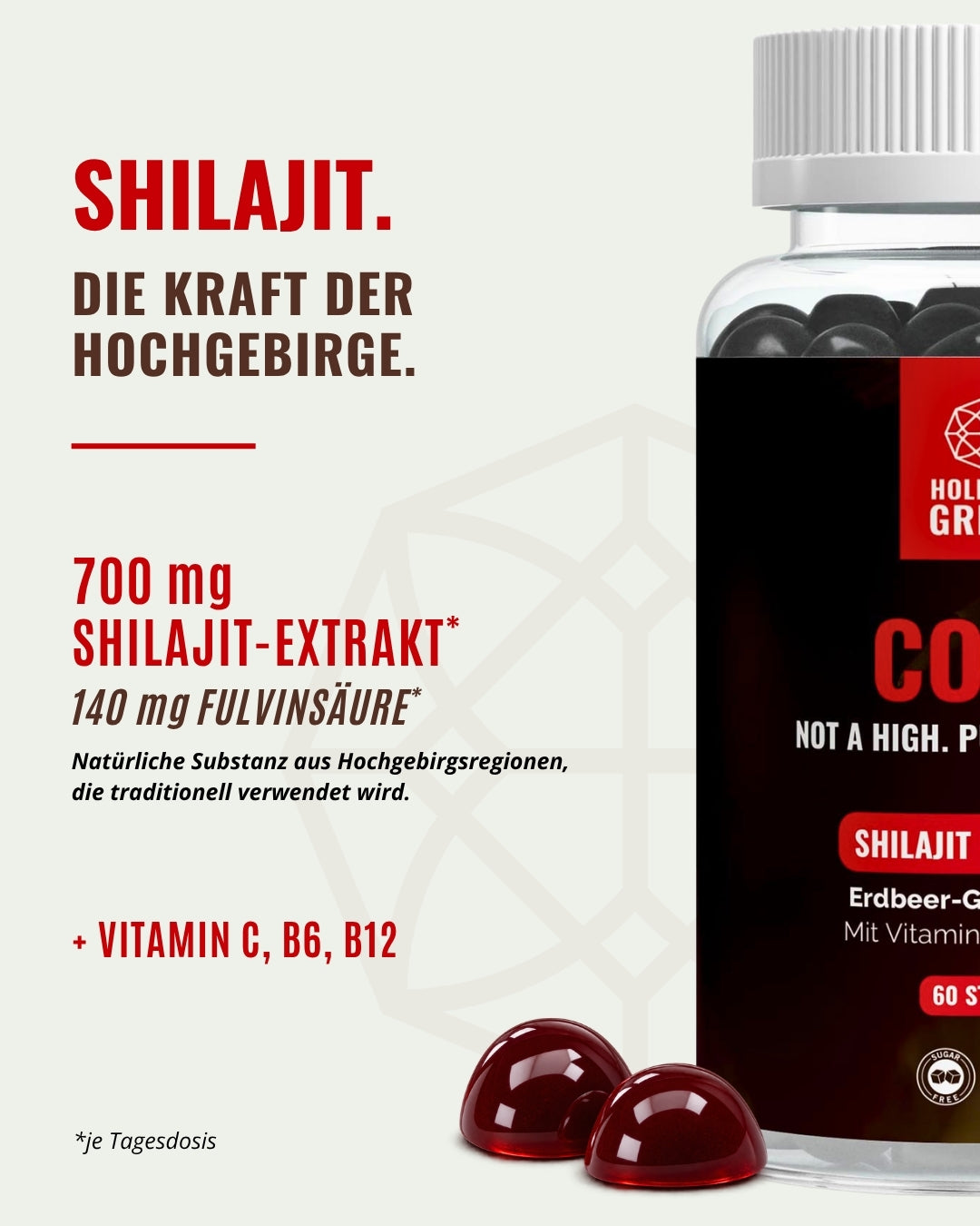 CORE – Shilajit Gummies