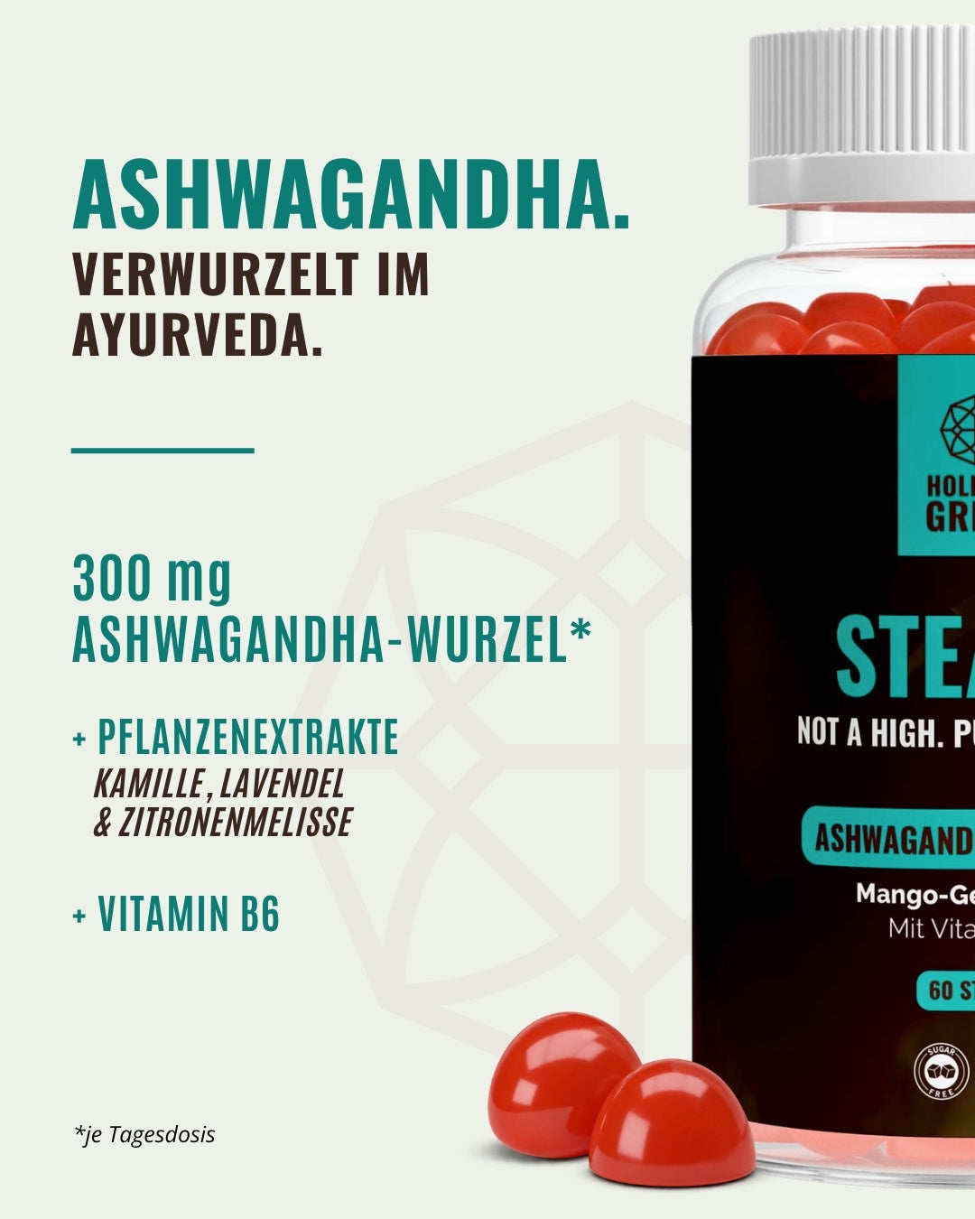 STEADY – Ashwagandha Gummies