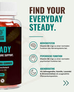 STEADY – Ashwagandha Gummies