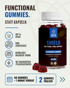 SHIELD – Elderberry Gummies